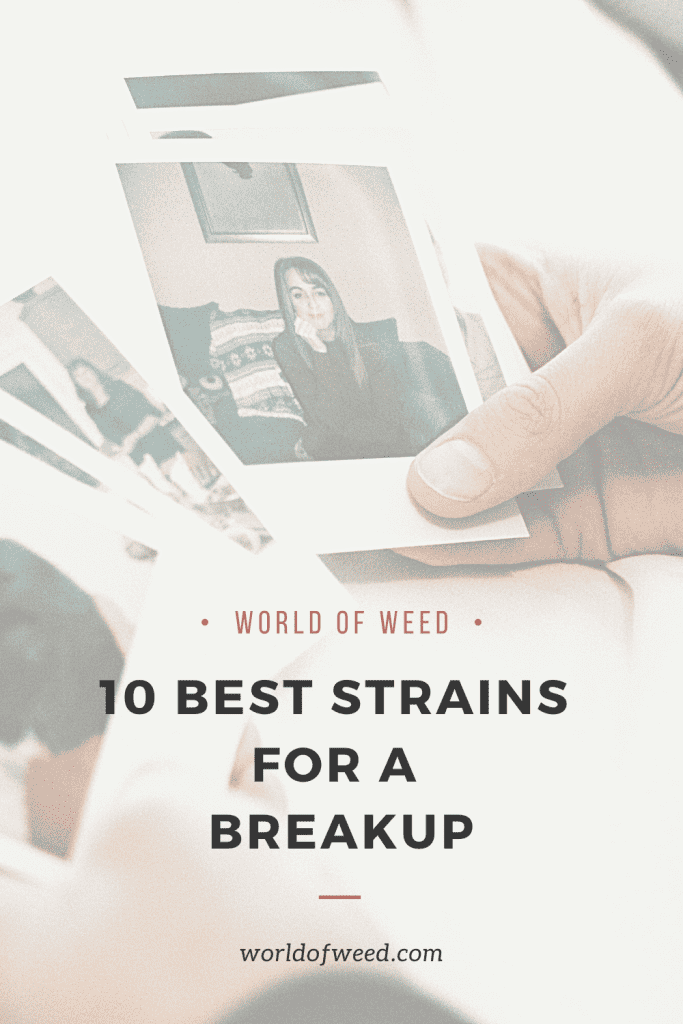 Best Weed Strains For Relationship Breakups