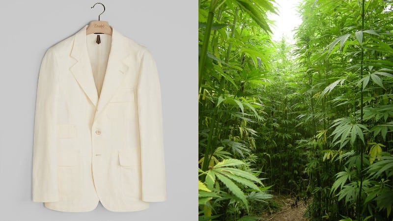 Comparing the Texture of Hemp Clothing to Cotton and Linen