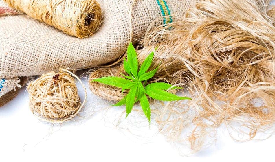 Exploring the Perception of Hemp Clothing in the Mainstream Fashion Industry