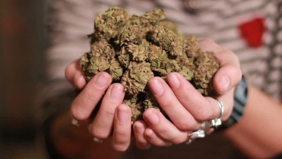 How Much Weed Can You Legally Have In Canada?