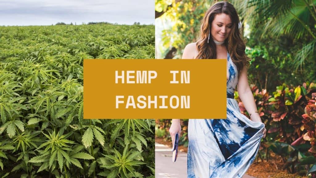 The Fashion Industrys Transformation after the Legalization of Hemp Cultivation