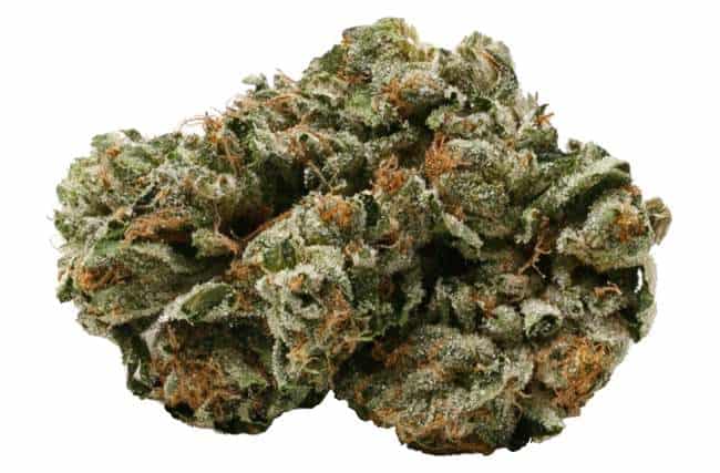 The Most Popular Strains In Canada List