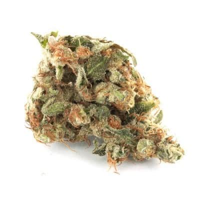 Top 5 Indica Dominant Hybrid Strains In Canada