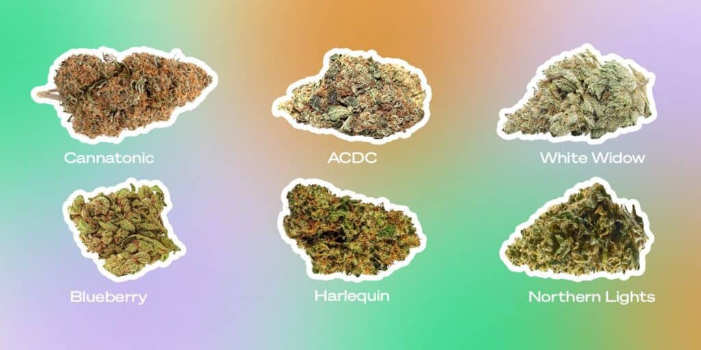 Top 5 Strains Best Suited For Before Work