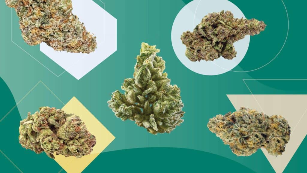 Top 5 Strains Best Suited For Work