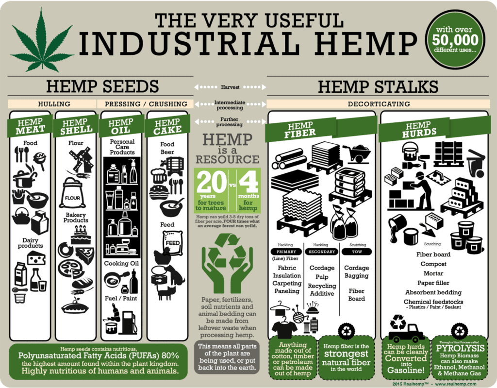 Top Hemp Fibre Products That Benefit Our Planet The Most