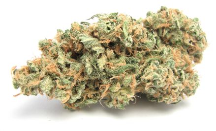 Grassdoor's Favorite Hybrid Cannabis Strain