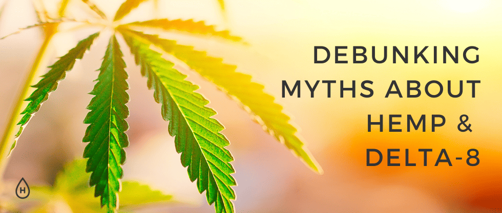 Debunking 5 Myths About Hemp Clothing