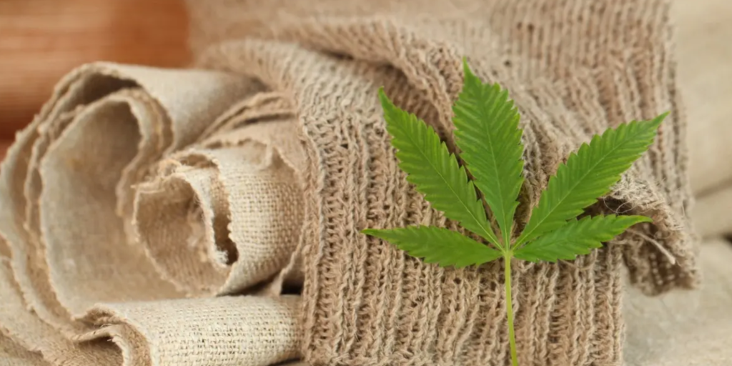 Educating Consumers on the Benefits and Care of Hemp Clothing