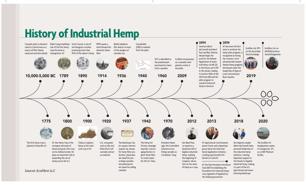 Governments Role in the Hemp Clothing Industry