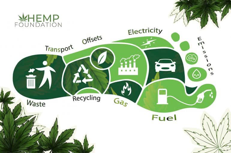 Governments Role in the Hemp Clothing Industry