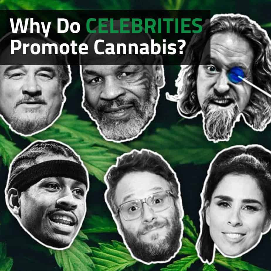 How Are Celebrities Or High-profile Individuals Utilized In The Promotion Of Marijuana-branded Clothing?