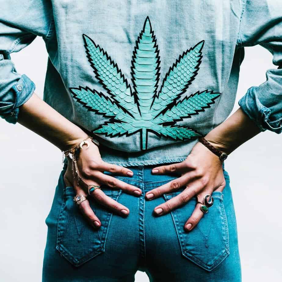 How Are Seasonal Trends Reflected In Marijuana-branded Clothing Collections?