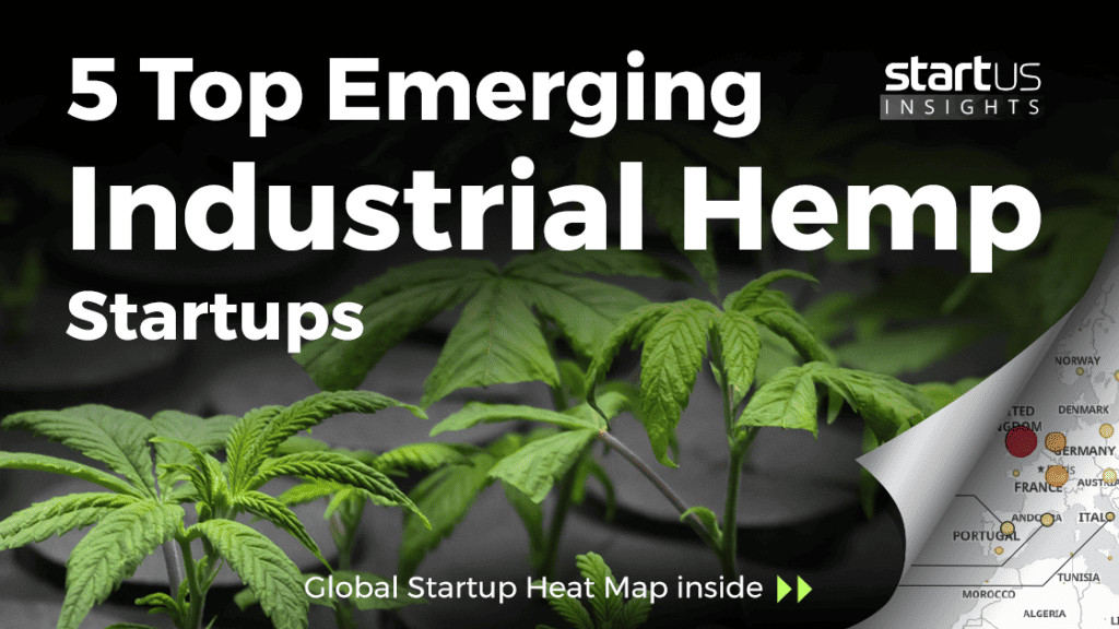 The Rising Technological Innovations in Hemp Textile Production