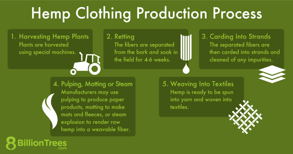 The Role of Hemp Clothing in the Circular Economy of Fashion