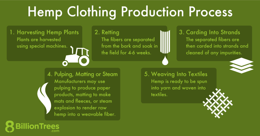 The Role of Hemp Clothing in the Circular Economy of Fashion The Weedsnob