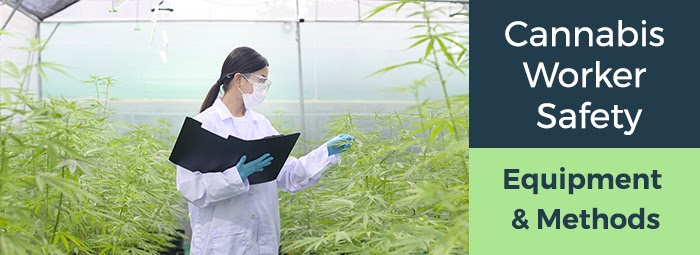 What Are The Safety Protocols And Guidelines In The Production Facilities Of Marijuana-branded Clothing?