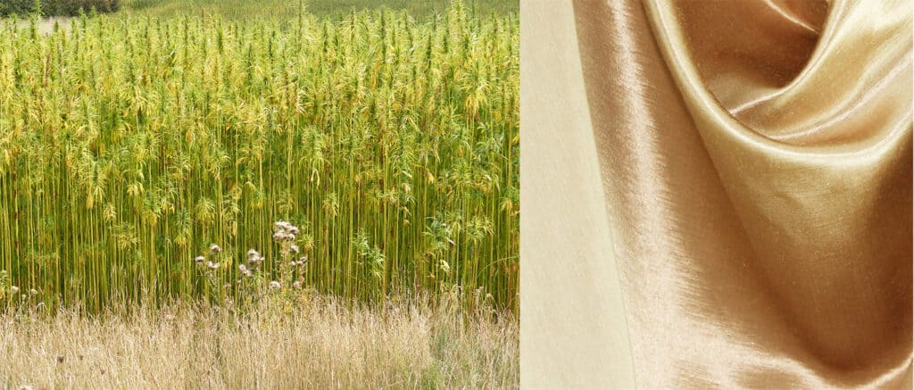 What is the process of turning raw hemp into fabric suitable for clothing?