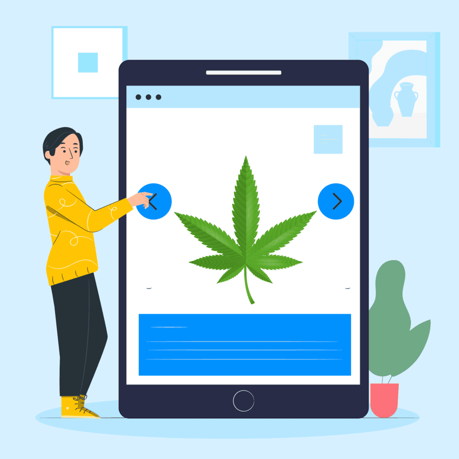 What Technologies Are Used For Online Shopping Experiences In Marijuana-branded Clothing?