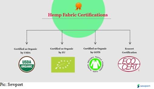 Exploring the Economic Impact of Hemp Clothing on Rural Communities