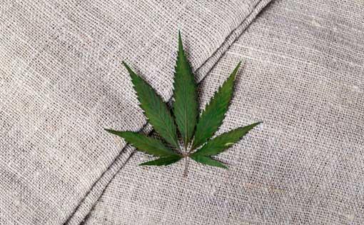 Exploring the Economic Impact of Hemp Clothing on Rural Communities